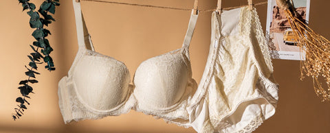 Wacoal Member Program